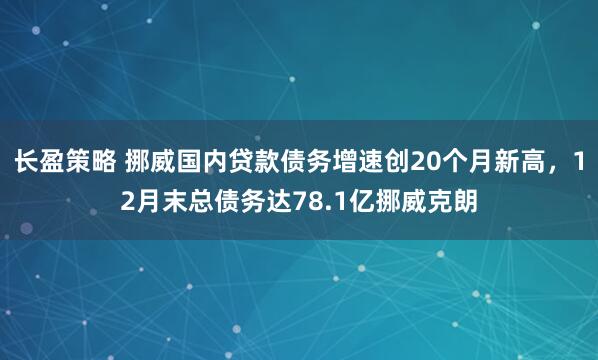 长盈策略 挪威国内贷款债务增速创20个月新高，12月末总债务达78.1亿挪威克朗