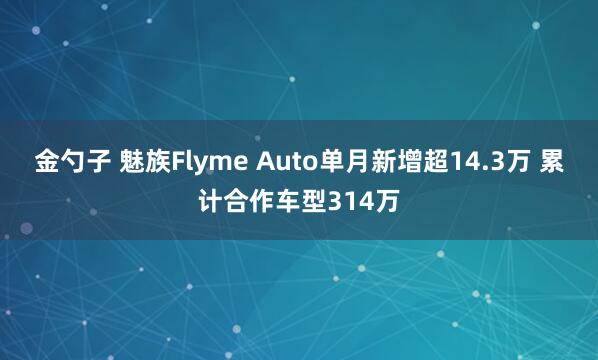 金勺子 魅族Flyme Auto单月新增超14.3万 累计合作车型314万